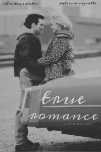 Poster to the movie "True Romance" #549942