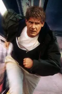 Poster to the movie "The Fugitive" #213431