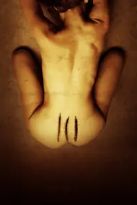 Poster to the movie "The Human Centipede 3 (Final Sequence)" #328270