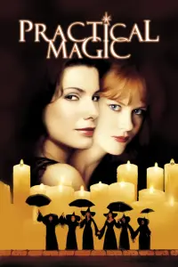 Poster to the movie "Practical Magic" #119764