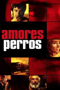 Poster to the movie "Amores Perros" #204144