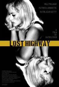 Poster to the movie "Lost Highway" #120891