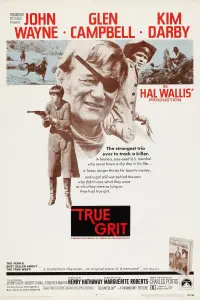 Poster to the movie "True Grit" #100897