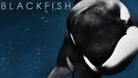 Backdrop to the movie "Blackfish" #155016