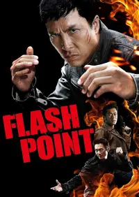 Poster to the movie "Flash Point" #253976