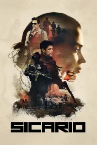 Poster to the movie "Sicario" #39643