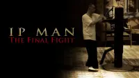 Backdrop to the movie "Ip Man: The Final Fight" #302370