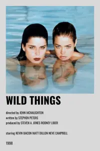 Poster to the movie "Wild Things" #102075