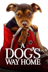 Poster to the movie "A Dog