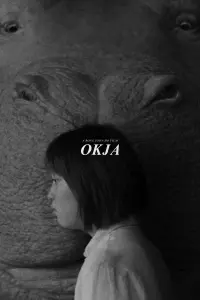 Poster to the movie "Okja" #454734