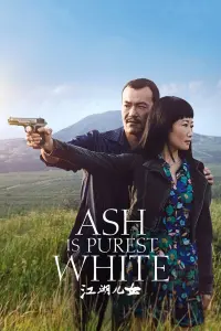 Poster to the movie "Ash Is Purest White" #355122