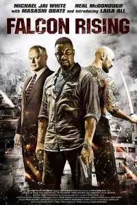 Poster to the movie "Falcon Rising" #144777