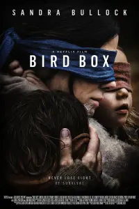 Poster to the movie "Bird Box" #65564