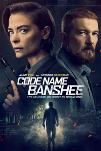 Poster to the movie "Code Name Banshee" #88031