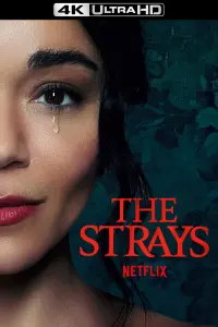 Poster to the movie "The Strays" #116015