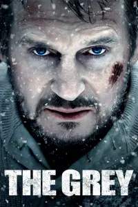 Poster to the movie "The Grey" #279104