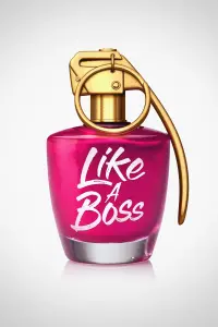 Poster to the movie "Like a Boss" #104168