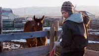 Backdrop to the movie "Certain Women" #309581