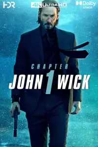 Poster to the movie "John Wick" #216569