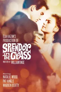 Poster to the movie "Splendor in the Grass" #365061