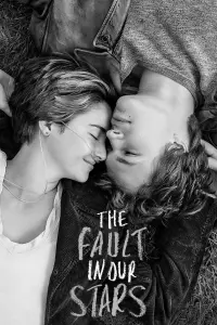 Poster to the movie "The Fault in Our Stars" #444375