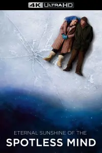 Poster to the movie "Eternal Sunshine of the Spotless Mind" #155564