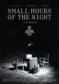 Poster to the movie "Small Hours of the Night" #196603