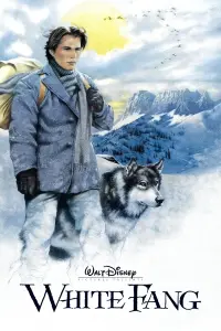 Poster to the movie "White Fang" #122538