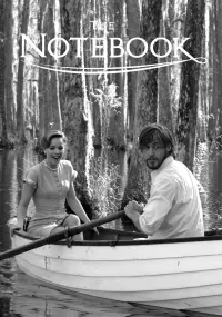 Poster to the movie "The Notebook" #183783