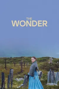 Poster to the movie "The Wonder" #273582