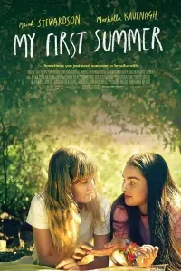 Poster to the movie "My First Summer" #346142