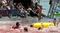 Backdrop to the movie "Piranha 3D" #317778