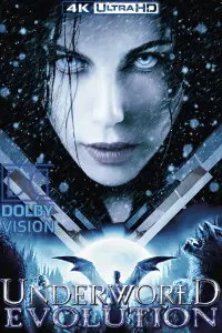 Poster to the movie "Underworld: Evolution" #83194