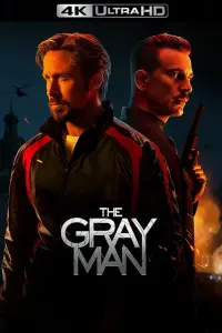 Poster to the movie "The Gray Man" #45807