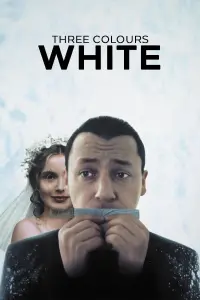 Poster to the movie "Three Colors: White" #99642