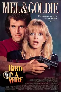 Poster to the movie "Bird on a Wire" #298322