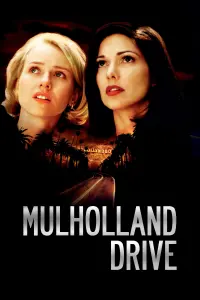 Poster to the movie "Mulholland Drive" #35010