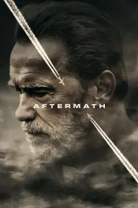 Poster to the movie "Aftermath" #336351