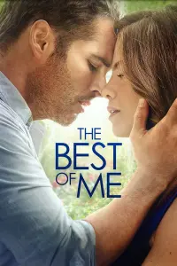 Poster to the movie "The Best of Me" #214286