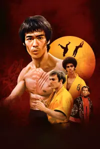 Poster to the movie "Enter the Dragon" #216326