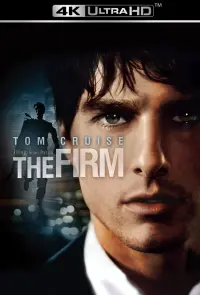 Poster to the movie "The Firm" #91331