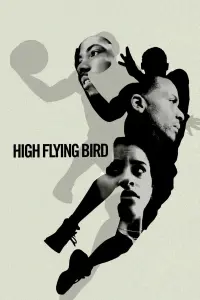 Poster to the movie "High Flying Bird" #157438