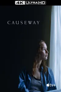 Poster to the movie "Causeway" #276511