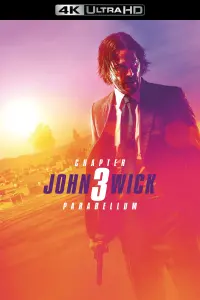 Poster to the movie "John Wick: Chapter 3 - Parabellum" #19401