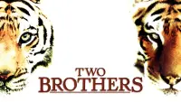 Backdrop to the movie "Two Brothers" #157202