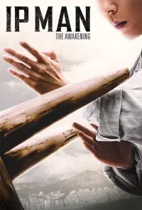 Poster to the movie "Ip Man: The Awakening" #40071