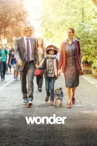 Poster to the movie "Wonder" #72317