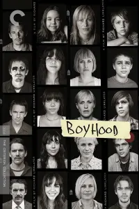 Poster to the movie "Boyhood" #129541