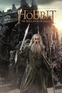 Poster to the movie "The Hobbit: The Desolation of Smaug" #710989