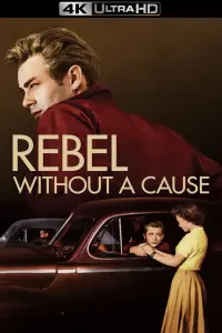 Poster to the movie "Rebel Without a Cause" #121092